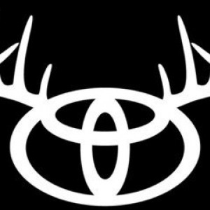 Toyota_white-tail1