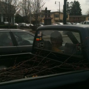 Sorry bout the bad pic but that's a gay pride sticker and a got wood? 