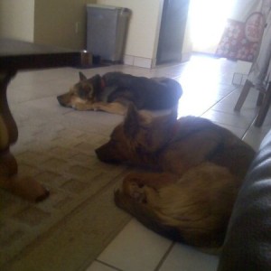 sleepy.