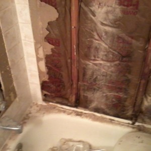 f-you mold!!