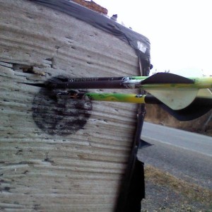 First 3 at 20yards! PSYCHED!