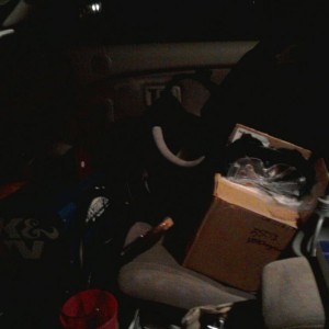 Loaded for mod day