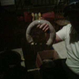 Made 130lb venison bologna tonight. That's a biiiiiig ring!