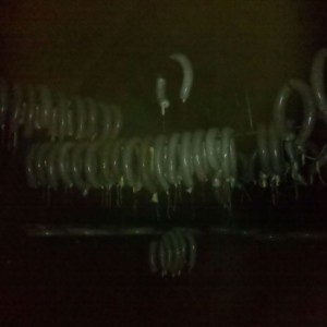 Holy rings!