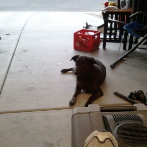Garage sale helper.