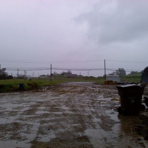 rain rain go away ive got shit to do today