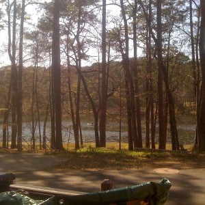 The view from our campsite