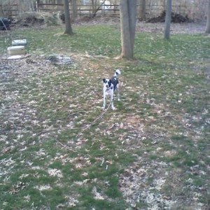 i gotsa stick!