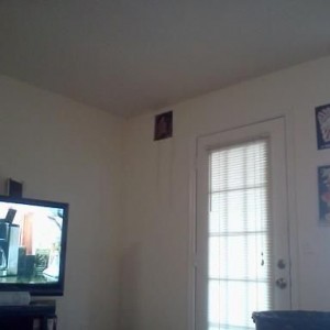 and then they just cut this hole out, tell me its a sprinkler so they cant 
