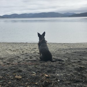 Deep thought