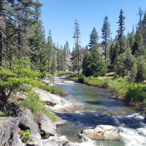 20190623_110236