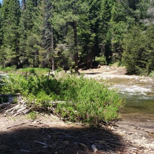20190623_115950