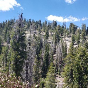 20190623_142543