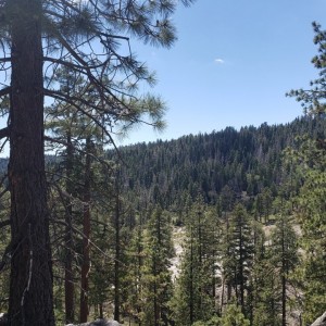 20190623_142656