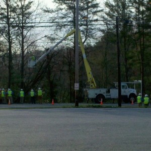 How many guys does it take to fall some trees?