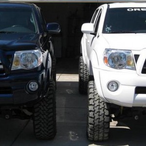 Wash-n-Waxed