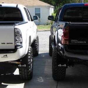 TacoAsses