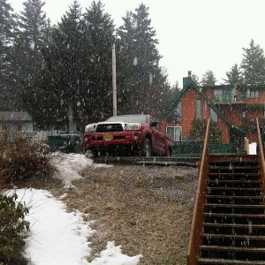 TITS...and its almost April. Gotta love spring in kodiak!