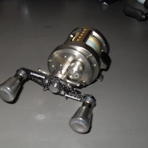 SDC10269