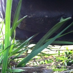 Test