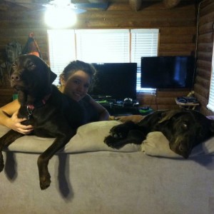 Dogs