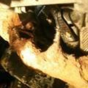mud caked sensor