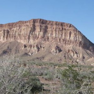 Bitter Springs