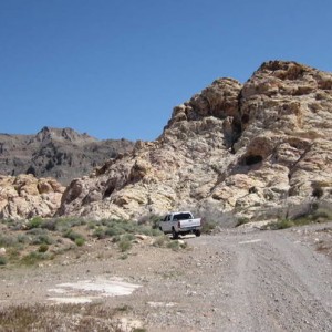 Bitter Springs