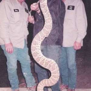 claysnake