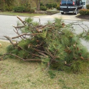 The pile left from last nites twister....could of been worse