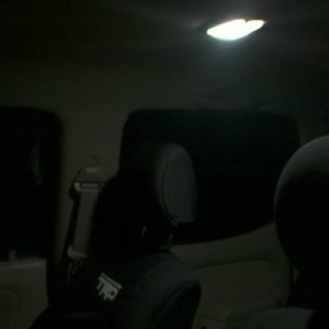 New_Dome