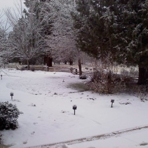 outside my aunt and uncles front door in oregon when i went to visit during
