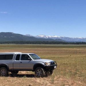 Sardine Meadow, Sierra County, CA