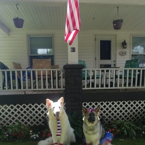 7/4/2019