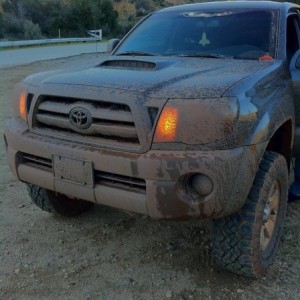 Out having fun after the rain