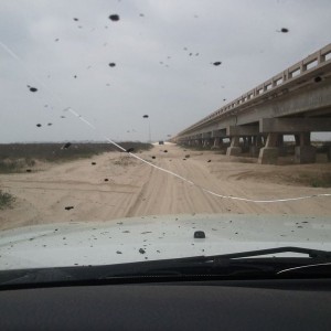 San louis pass Galveston Tx