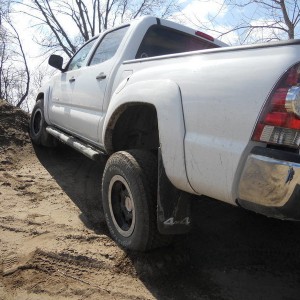 Stock Flexing #1