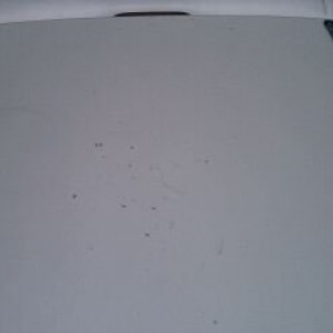100MEDIA_IMAG0072