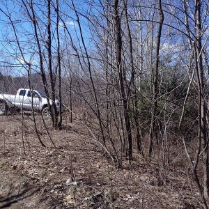 GoForItMar262011