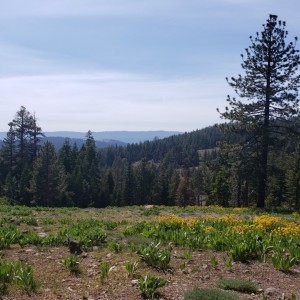 20190706_153944