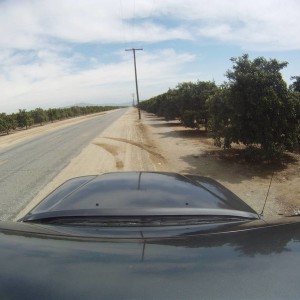 GOPR0267