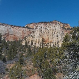 IMAG0332