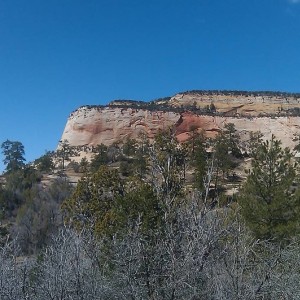 IMAG03331