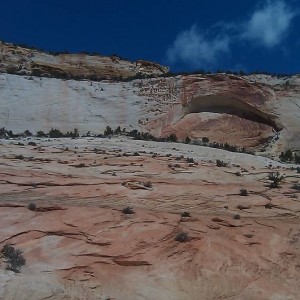 IMAG03351