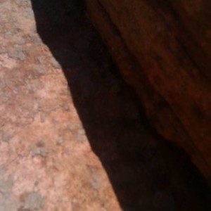 IMAG03372