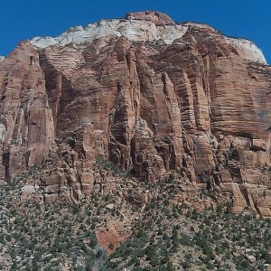IMAG03441