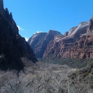 IMAG03481