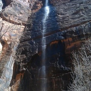IMAG03561