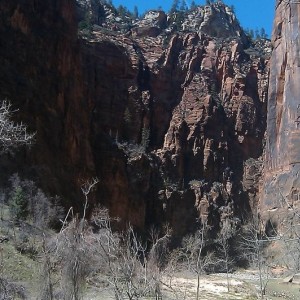 IMAG0360