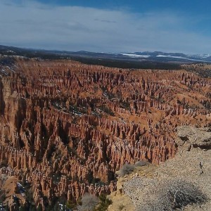 IMAG0385
